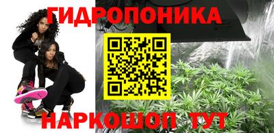 apvp Лесосибирск