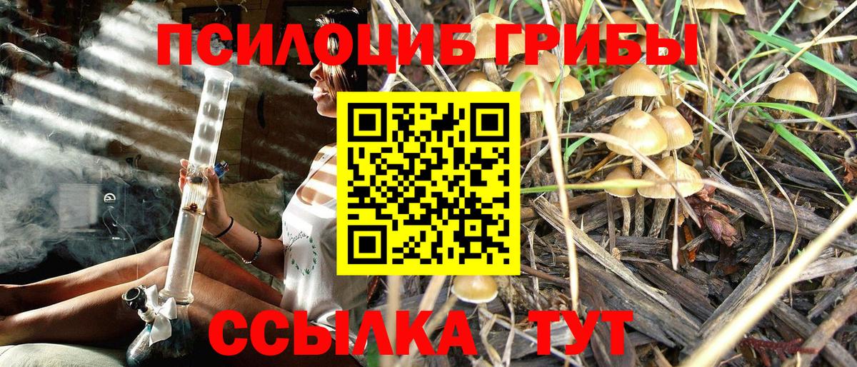 Галлюциногенные грибы Cubensis Димитровград